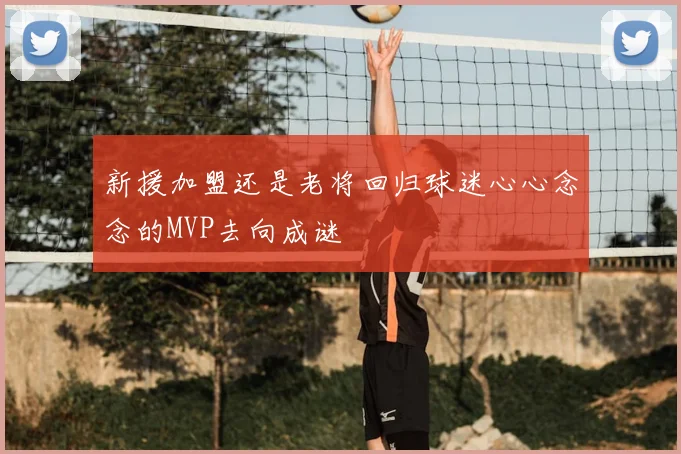 新援加盟还是老将回归球迷心心念念的MVP去向成谜