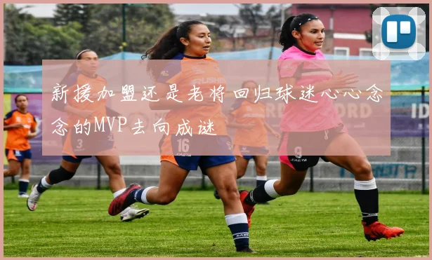 新援加盟还是老将回归球迷心心念念的MVP去向成谜